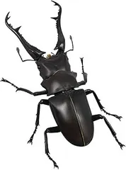 2025年最新】ギラファノコギリクワガタ 海洋堂の人気アイテム