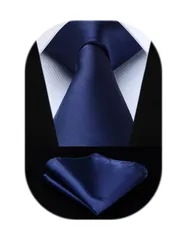 大人気　ネクタイ 無地 メンズ ポケットチーフ贈り 光沢 15色 洗える [HISDERN] ビジネス 結婚式 卒業式 プレゼント TL-01S…