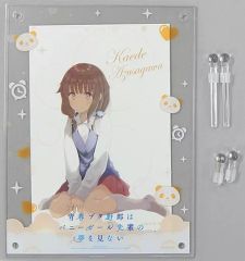 [중고] 포토 프레임·앨범(캐릭터) 아즈카와 카에데 캐릭터 포토 프레임 [Blu-ray/DVD 청춘 돼지 놈은 토끼 소녀 선배의 꿈을 꾸지 않는 제5권] ANIPLEX+구입 특전