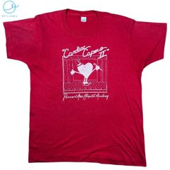 【激レア】80s USA製 SCREEN STARS シングルステッチ Tシャツ L Cardiac Capers II パサバント病院チャリティ