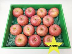 サンふじ りんご 14玉 約5㎏ 青森県産 特A～秀Ａ品