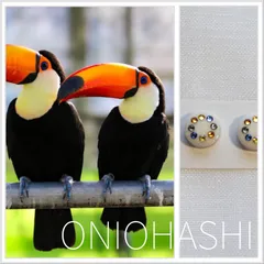 ことりをデザイン　オニオオハシ　イヤリング