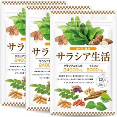 【3袋セット】【医師監修】サラシア24000mg イヌリン 6000mg 国産菊芋 桑の葉 16種類の厳選成分 30日分 120粒 GMP国内工場製造 サラシア生活 サプリメント