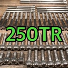 ステンレス製 250TR BJ250F 左右エンジンカバーボルト 合計35本
