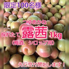 和歌山県紀南産 訳あり紫梅10㎏ サイズ混合 - メルカリ