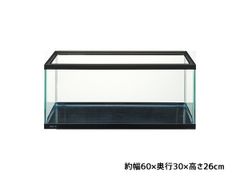 NISSO ニッソー 水槽 60cm 曲げガラス水槽 - メルカリ