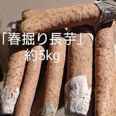 長野県産「春掘り長芋」約5kg入り/甘味と粘り良しですよ。長芋レシピ商品説明に色々記載してますのでご参考になさって下さいませ。※日持ちします。