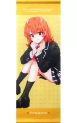 2025年最新】やはり俺の青春ラブコメはまちがっている 特典小説の人気