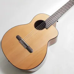 aNueNue Bird Guitar Series aNN-MCN10E WGE ナイロン弦モデル