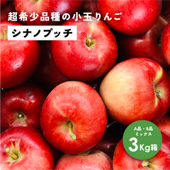 「シナノプッチ3キロ箱A品B品」リンゴ三兄弟 農林水産大臣賞 りんご 長野県産 安曇野 信州産  送料無料 3キロ 箱使用 果物 フルーツ 鮮度抜群 産地直送