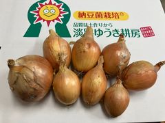 《予約販売・6月下旬 / 訳あり》納豆菌栽培 淡路島産玉ねぎ 4.8kg【兵庫県淡路島産】