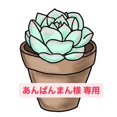 あんぱんまん様 専用