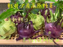 ハヤトウリ 種 苗 6個 富士山麓産 - メルカリ