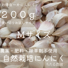 自然栽培 農薬肥料不使用　博多八片にんにくMサイズバラ片