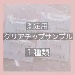 測定用クリアチップサンプル１種類