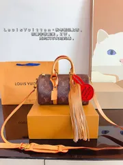 LV Speedy nano枕バッグ、ハンドバッグケースバッグ、ショルダーバッグ、ブリーフケース、モップバッグ、ショルダーバッグ、リュックサック、財布、財布、手首バッグ、ポーチ、ナイトバッグ、旅行バッグ、財布