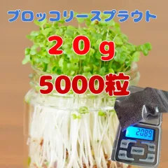 2024年最新】豆もやしの人気アイテム - メルカリ