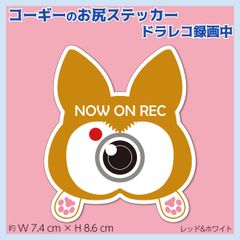 コーギーのお尻ステッカー R&W ドラレコ録画中アピール オリジナルデザイン