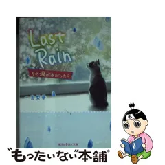 X68000 Be Rain 【超貴重品】 テレビゲーム PCゲーム 人気デザイナー