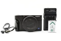 SONY DSC-RX100 (初代) 中古 歴戦品 2015年購入