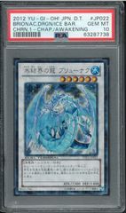 PSA10 氷結界の龍 ブリューナク シークレットレア DTC1-JP022 - メルカリ