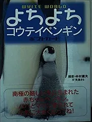 2025年最新】ペンギンはがき〈2〉の人気アイテム - メルカリ