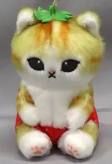 【中古】キーホルダー いちごのおぱんつ フルーツにゃんマスコットぬいぐるみ 「mofusand」
