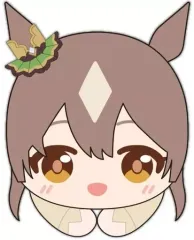 ウマ娘　はぐキャラコレクション2 完全未開封BOX アニメイト特典付 ウマ娘 はぐキャラコレクション2 完全未開封BOX アニメイト特典