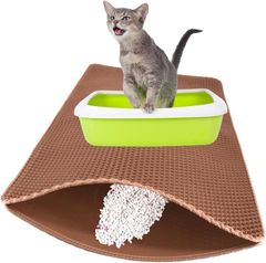 Item thumbnail for item 754436f4-33b5-443a-bd26-0a0d80e9ea94