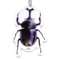 [중고] 잡화 딱정벌레 아크릴 열쇠 고리 [이치 반 복권 곤충 LIFE with INSECT] G상