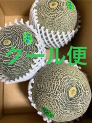 タカミメロン 4Lサイズ 3個入 箱込4.7キロ程度 茨城県