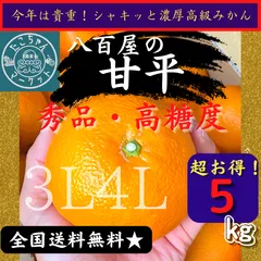 2025年最新】甘平 訳ありの人気アイテム - メルカリ
