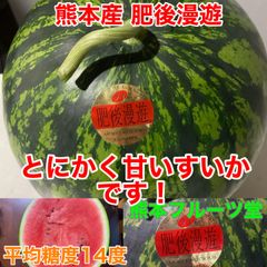 熊本産 大玉スイカ肥後漫遊 S2玉 9〜11k箱込　かめまる食堂 熊本産 大玉スイカ肥後漫遊 S2玉 9〜11k箱込 かめまる食堂