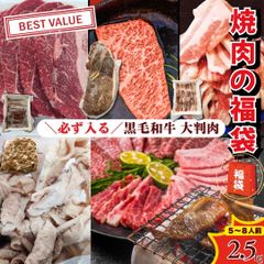 【送料無料】【大容量 焼肉福袋】夏のBBQパーティー福袋 黒毛和牛×やまゆり牛×国産豚×仔牛ホルモン入り 豪華合計4種焼肉セット 《5～8人前/約2.5kg》 BBQ 焼肉 　大人数 冷凍  商品番号：yakiniku-c