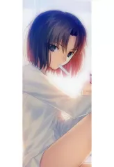 FGO アサシン/両儀式 B2タペストリー 未開封品 FGO アサシン/両儀式 B2タペストリー 未開封品