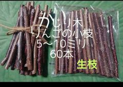 Item thumbnail for item b615a466-01eb-4b65-9ab5-8549c11ebae2