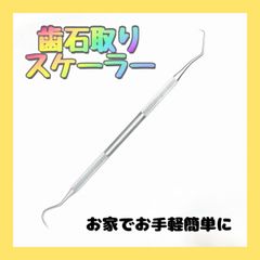 歯石取りスケーラー 1本 ステンレス ヤニ デンタルオーラル