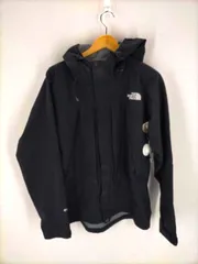 ザノースフェイス THE NORTH FACE GORE-TEX オールマウンテンジャケット メンズ JPN：XL 