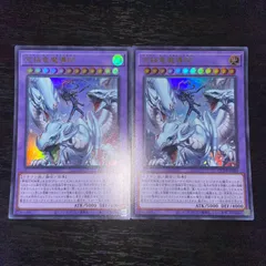 2025年最新】究極竜魔導師の人気アイテム - メルカリ