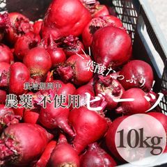 七久里農園 ビーツ (根) 10㎏ 長野県産 / 無農薬 有機肥料使用 除草剤不使用 / デトロイトダークレッド 農家直送 生ビーツ スーパーフード ボルシチ 奇跡の野菜 野菜 beet beetroot ポリフェノール 葉酸 カリウム