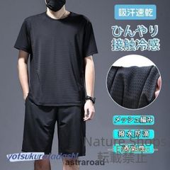 新品未使用】狼犬牙サソリ蝎座 ?件 装飾品 現代工芸品 美術品