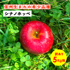 幻の林檎 「シナノホッペ5キロ箱訳あり品」農林水産大臣賞 りんご 長野県産 安曇野 信州産 産地直送 送料無料 5キロ 箱使用 果物 フルーツ 鮮度抜群 産地直送