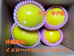 沖縄県産　イエローパッションフルーツ　大玉　1kg