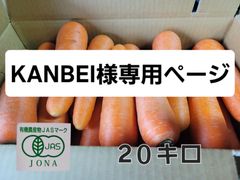 KANBEI様専用　大きめ人参　20キロ