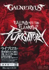 2026年最新】into the purgatoryの人気アイテム - メルカリ