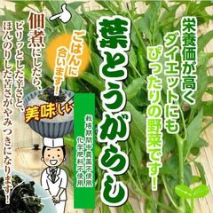 葉とうがらし(葉唐辛子）　☆実つきです！　栽培期間中農薬不使用・化学肥料不使用　埼玉県産　約６００ｇ