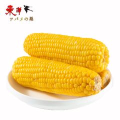 静安黄糯玉米【5点】モチとうもろこし 軸付き糯玉米 1本x5点