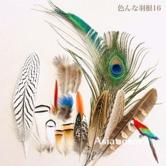 ❤️◾️⭐︎【色んな羽根16】キジ 鳥 羽根 フェザー インテリア DIY