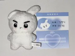 Theboyz ヨンフン 10cmドール ぬいぐるみ セット Amazon.co.jp: THEBOYZ ドボイズ ヨンフン ぬいぐるみ 10cm