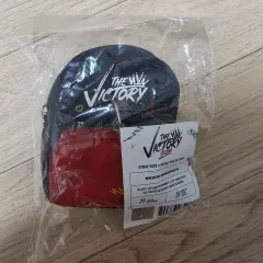 Stray Kids(ストレイキッズ・スキズ・SKZ) 勝利 ポップアップ SKZOO バックパック